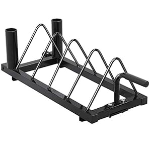Topeakmart Dumbbell Barbell Weight Lifting Rack Stand Only Fitness Multilevel Horizontal Storage Mental Organizer for Home Gym