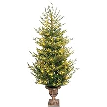 6Ft The Finest Potted Fraser Fir Christmas Tree LCH7-O1201