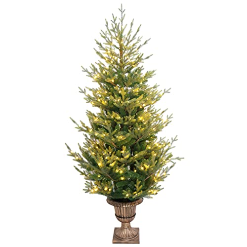 6Ft The Finest Potted Balsam Fir Christmas Tree image