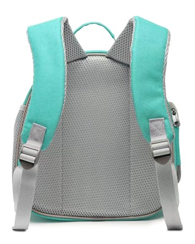 Hcupet Mochila transportadora de animais pequenos, cápsula espacial, mochila transportadora de janel