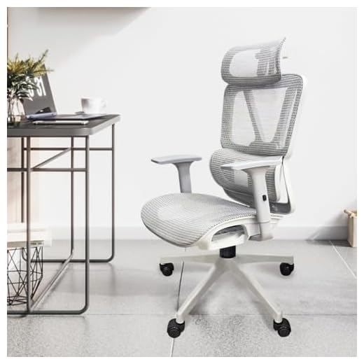 Cadeira de escritório Python Fly malha ergonômica - apoio da lombar ajustável, assento com fluxo de ar, apoios de braços ​​3D, capacidade de 150 kg-cinza (cinza)