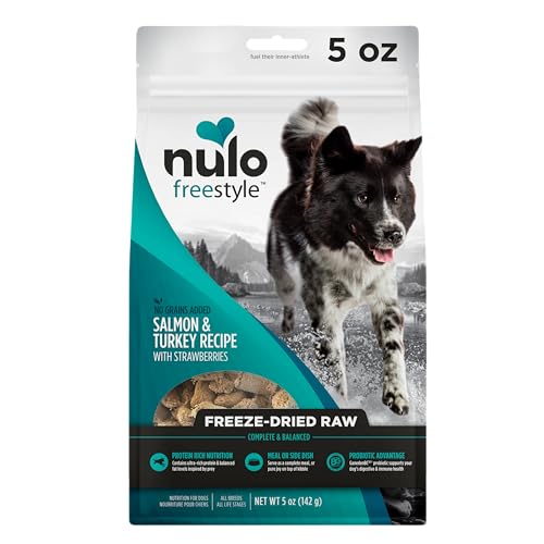 Top 10 Dry Dog Foods Ranked of 2022 Katynel