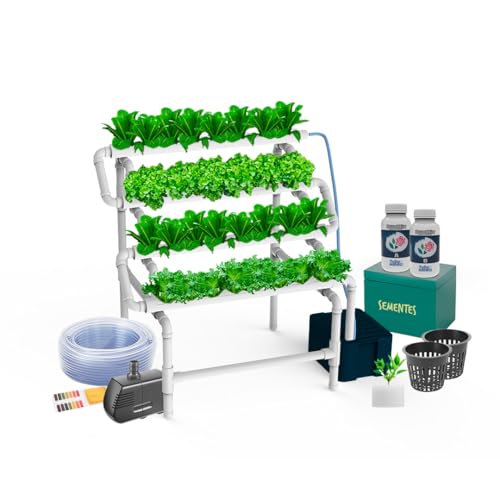 Kit Hidropônico N9 32 Mudas, Com Nutrientes e Sementes