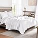 Exclusivo Mezcla Reversible Full Queen Quilt Bedding Set with Pillow Shams, Lightweight Quilts Queen Size, Soft Bedspreads Bed Coverlets for All Seasons - (White, 90