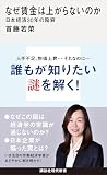 なぜ賃金は上がらないのか　日本経済３０年の陥穽 (講談社現代新書)