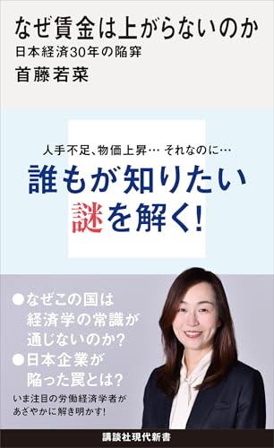 なぜ賃金は上がらないのか 日本経済30年の陥穽 (講談社現代新書)