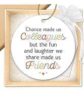 ZAGKOO Coworker Ornament for Work Bestie, Women Friends - Chance Made Us Coworkers - Friendship G...