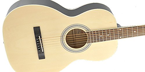 Amazon | 【国内正規品】 ZENN ゼン アコースティックギター ZP18 