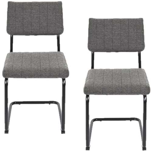 Toilinux.com Lot de 2 Chaises Alban - Gris chiné