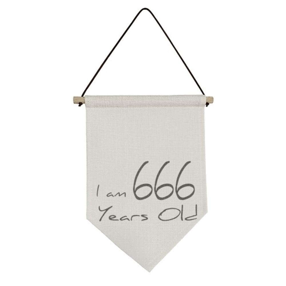 Drapeau en toile I am 666 years old idéal pour décorer une chambre d'ado ou studio