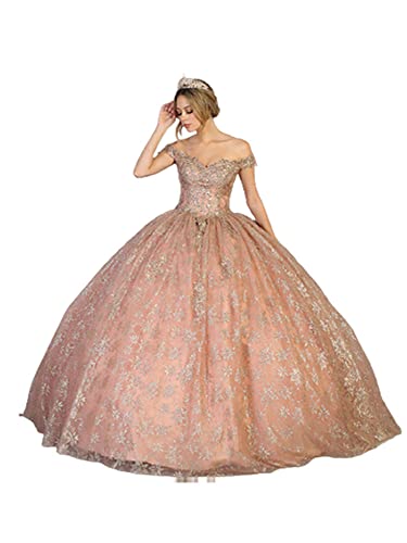 Princess Quinceanera Ball Gown And Plus Size (As1, Numeric, Numeric_6, Plus, Regular, Rose Gold, 6) #TOP26