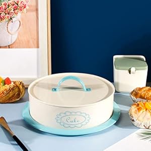 Metal cake carrier cake server with lid cake cover cake storage tin sweet stuff cake holder cream dessert carrier for kitchen countertop cake storage container with handle  urban country home decor