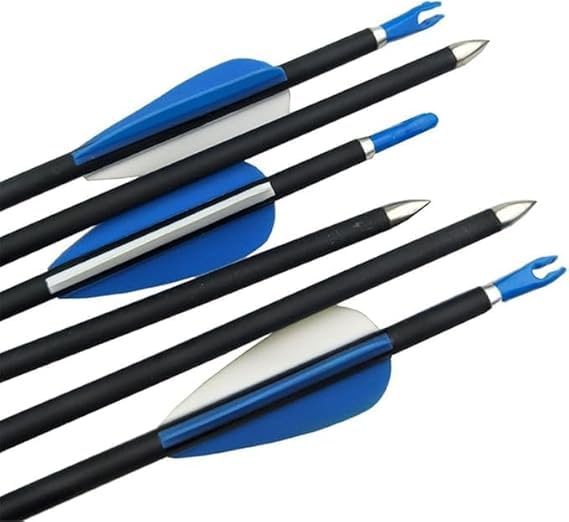 RedOak 30 inch Archery Arrows for Recurve Bow Fiberglass Target Practice (6 pcs) - Blue 4