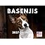 Basenji