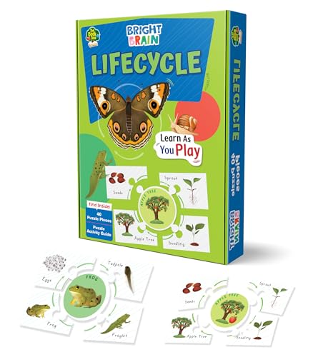 Image of The Book Tree Bright Brain Lifecycle Puzzle - Explore & Understand Lifecycles with 40 Puzzle Pieces - Perfect for Kids Age 3+ - Gift Box by Majestic Book Club