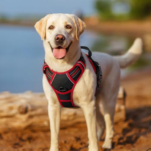 rabbitgoo Hundegeschirr Mittelgroße Hunde, Anti Zug Geschirr mit Kontrolle, No Pull Verstellbar Hundegeschirr Grosse Hunde, Atmungsaktiv Reflexstreifen Brustgeschirr Sichere Führung Schwarz+Rot L