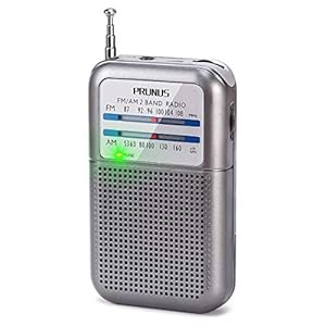 Prunus DE333 Mini AM/FM Radio