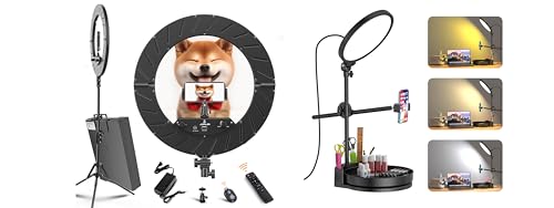Image of 55W Desk Ring Light and 18 inch Ring Light