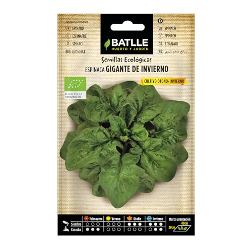Semillas Batlle Espinaca Gigante de Invierno - ECO