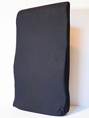 Dr. Linda's Back Cushion