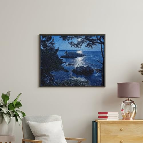 Peinture par numéros adulte débutant sans mélanger couleurs