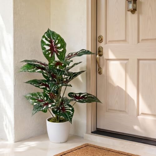 Image of Dekorly Artificial Caladium Plant Tree with White Pot 26 Inches | 66CM- Realistic Faux Leaf Plant for Home Decor, Bedroom, Living Room & Office (White Doted Caladium |Pack of One)