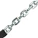 VULCAN Security Chain - Premium Case-Hardened - 5/16 Inch x 6 Foot (+/- 1.5 Inches) - Chain Cannot Be Cut with Bolt Cutters or Hand Tools