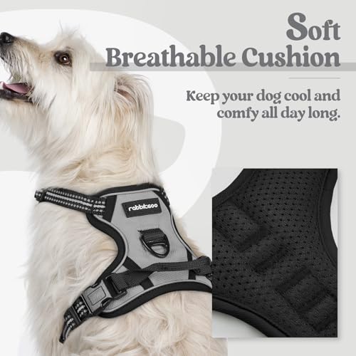 Image of rabbitgoo Dog Harness No Pull with 2 Leash Clips, Adjustable Soft Padded, Reflective Oxford No Choke Pet Vest with Easy Control Handle for Puppy, Grey, XS