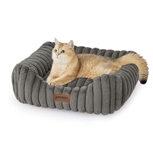 Small Dog Beds for Small Dogs – Washable Cat Beds for Indoor Cats, Rectangle Orthopedic Puppy Bed with Fluffy Removable Cover, 20x19x7inches, Grey