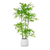 Amazon｜HGJH 人工観葉植物 フェイクグリーン 160cm 大型 鉢付き 観葉