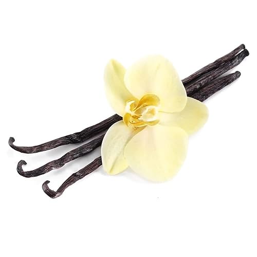 Miniatura 4 de Perfume de almizcle de China Essense sin alcohol, aceite de perfume de almizcle de China, vegano, sin crueldad, sin parabenos, sin sulfato, de larga