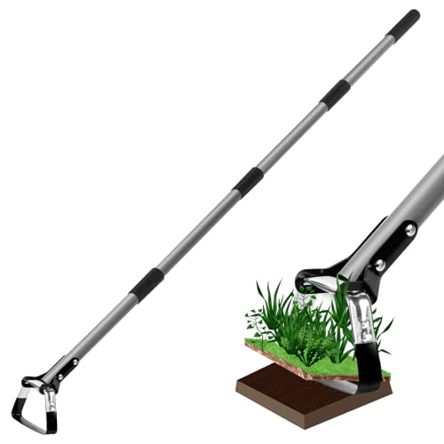 Best Stirrup Hoe Amazon
