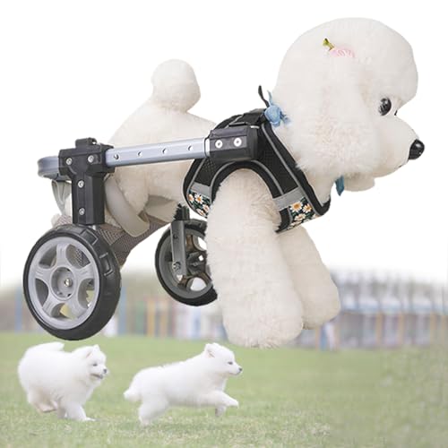 Silla de ruedas para perros pequeños y medianos: el carrito ajustable para volver a correr