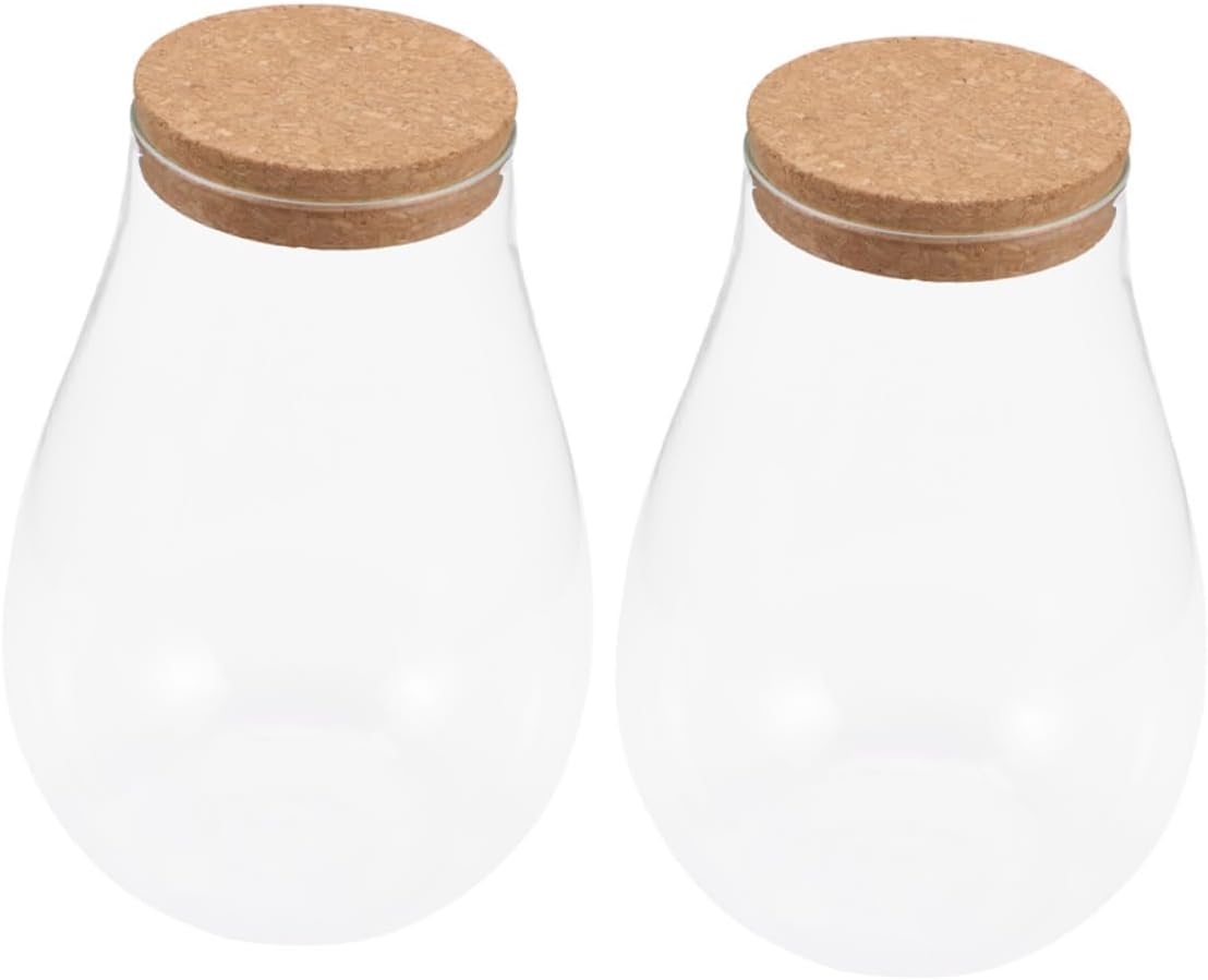 2pcs Glass Terrarium Bottles Cork Lid for DIY Micro Landscape Hydroponic Plants Decor Indoor Greenery Table Adornment