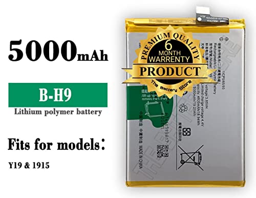 Image of THE BATTERY STORE Original Battery (B-H9) for Vivo Y19 1915 with with 6 Months warrenty (for B-H9)