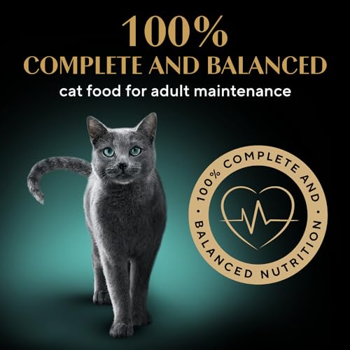 Sheba Gravy Indulgence Perfect Portions Adult Wet Cat Food Chicken & Beef Entrée in Extra Gravy Variety Pack, (12) 75g Trays image 4