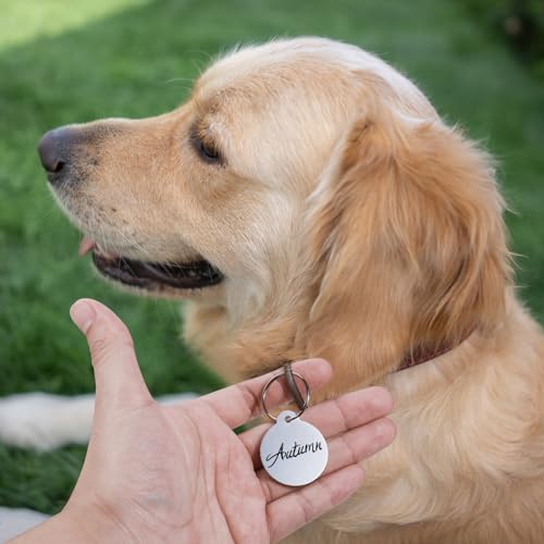 Modixun Unbedruckte Hundemarken zum Gravieren, 3,1 cm, personalisierbar, runde Metall-Stempelrohlinge, Aluminium-Metallanhänger mit Schlüsselanhänger, 25 Stück