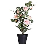 Vickerman Everyday 21' Indoor Artificial Pink Rose Plant - Lifelife Home Or Office Decor - Faux...