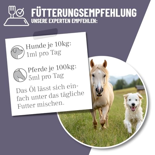 ReaVET Schwarzkümmelöl für Hunde & Pferde 500ml, Kaltgepresst aus echter Schwarzkümmelsaat Nigella Sativa, Reines Schwarzkümmel Öl zur Fellpflege & Fütterung mit Omega-6 & Omega-9