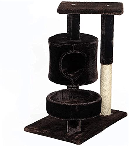 BAoce Lbgc[ XNb`|Xg Lbg^[ @\ LbgNC~Ot[ gO R WsOvbgtH[ ؐ LPZ24815