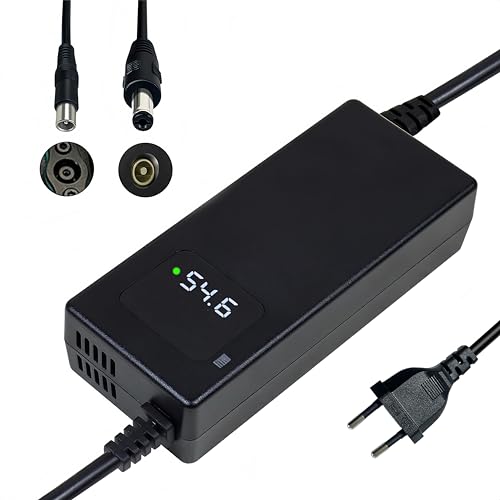 Cargador de Scooter eléctrico 54,6V 2A, Adecuado para baterías de Litio de 48V, con Pantalla LED y múltiples Funciones de protección y reparación, Equipado con un Conector RCA de 8mm, DC 5,5 * 2,1mm.