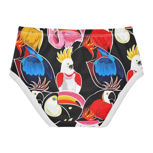 Colorful Exotic Birds Parrots Panties for Girl Toddler Underwear Floral Cotton Animals Briefs Underpants 2t2