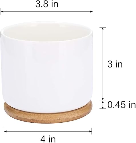 Miniatura 6 de WHING Home Sweet Home - Maceta de cerámica blanca para suculentas paquete de 3 macetas de 35 pulgadas con bandeja de bambú para regalos de