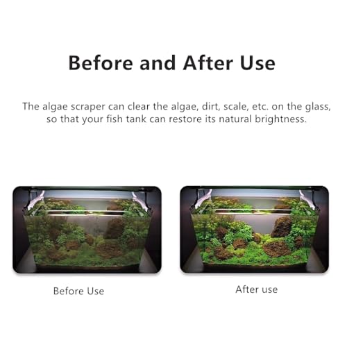 Image of Lominie Algae Scraper for Glass Aquariums, Extends to 25.6 inch Fish Tank Cleaner, Stainless Steel Algae Scraper for Fish Tank with 10 Blades, Aquarium Glass Cleaning Tools, Cleaning Accessories