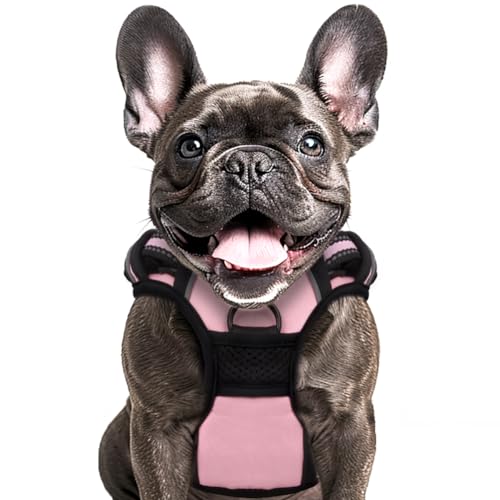 Buddy's Best Dog Harness, No-Pull Pet Harness with 2 Leash Clips, Adjustable Soft Padded Reflective Safety Pet Harness for No-Choke Pet Training (Pink, Medium)