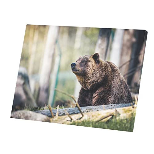 Toile imprimee ours brun grizzly poster grand format foret