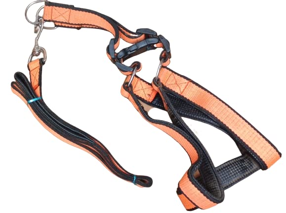 See full amazon price history chart for Bhumi Enterprises Harness Set for Maxi and Large Breed Harness with Leash Heavy Hook Giant Breed Dog X - Large Size (1.5 Inch) (XL) Bhumi Enterprises Harness Set for Maxi and Large Breed Harness with Leash Heavy Hook Giant Breed Dog X - Large Size (1.5 Inch) (XL) (B0BYD1DZ82) Amazon Price History, Amazon Price Tracker