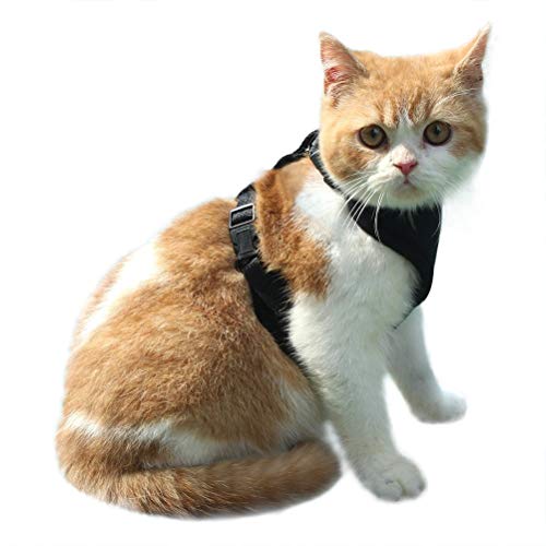 expawlorer Escape Proof Katze Geschirr - Soft Mesh verstellbares Geschirr für Katzen Weste für Pet Walking Cover