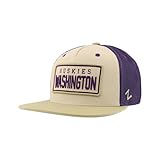 ZHATS Standard NCAA Officially Licensed Hat Trucker Paradigm, Stone, One Size
