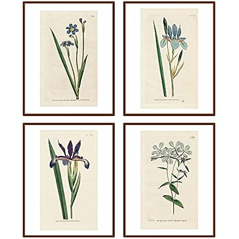 heshengzaixian Vintage Blue Flower Canvas Wall Art Print,Retro Floral Botanical Plant Decor Picture Poster, Boho Farmhouse Rustic Artwork for Home Office, Set of 4-8x10 UNFRAMED Cover
